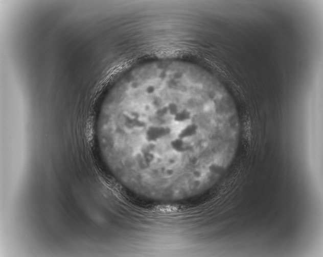 X0000103430687200810031351