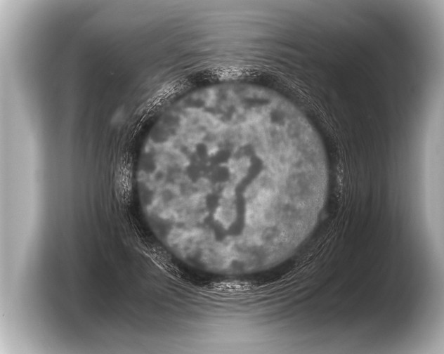 X0000103430691200810031351