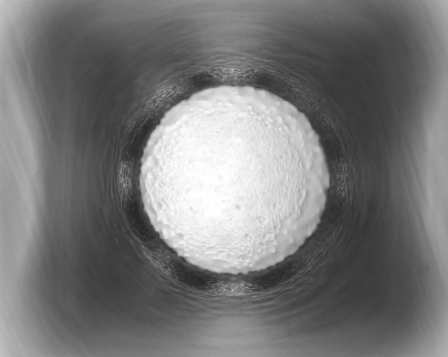 X0000103430695200810031351