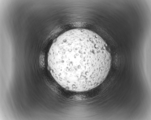 X0000103430696200810031351