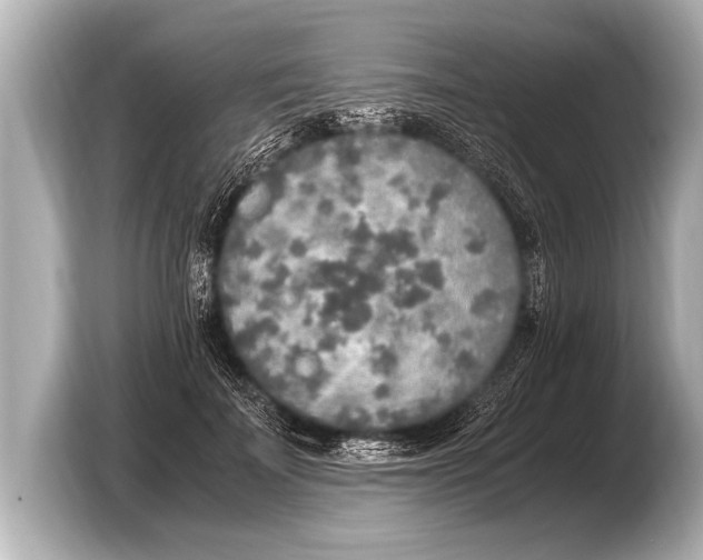 X0000103430699200810031351