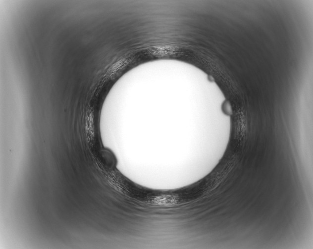 X0000103430700200810031351