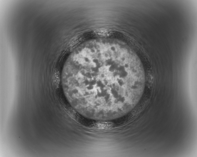 X0000103430707200810031351