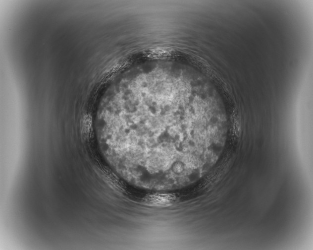 X0000103430711200810031351