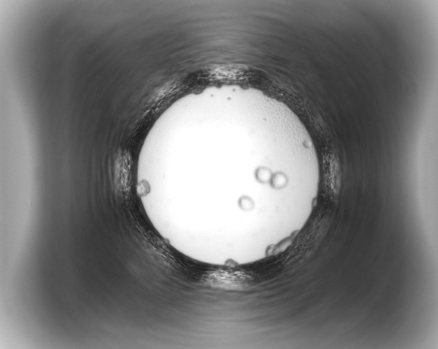 X0000103430712200810031351