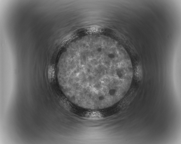 X0000103430715200810031351