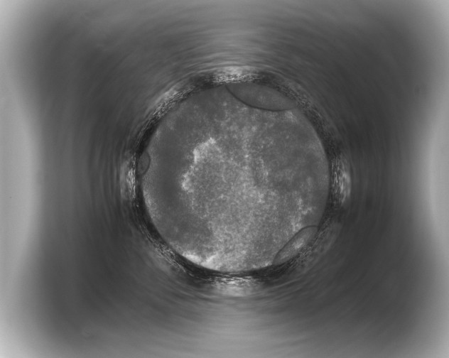 X0000103430716200810031351