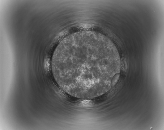 X0000103430718200810031351