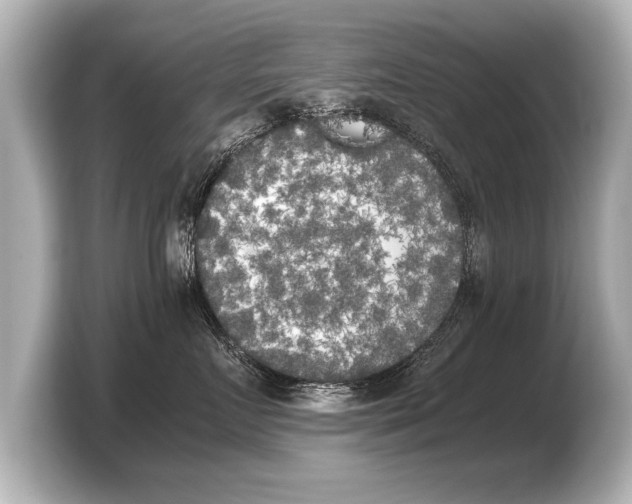 X0000103430719200810031351