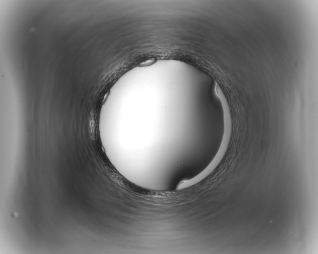 X0000103430720200810031351