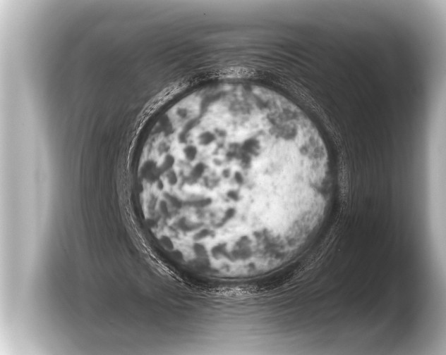 X0000103430721200810031350