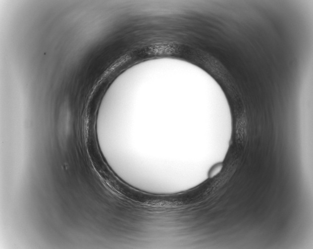 X0000103430722200810031350