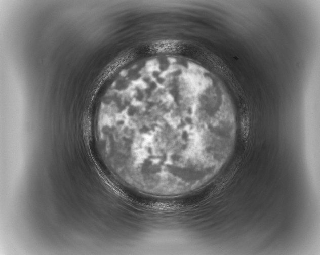 X0000103430725200810031350