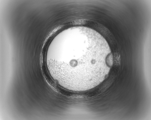 X0000103430726200810031350