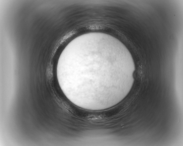 X0000103430727200810031350