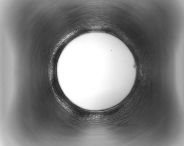 X0000103430728200810031350