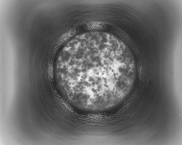 X0000103430729200810031350