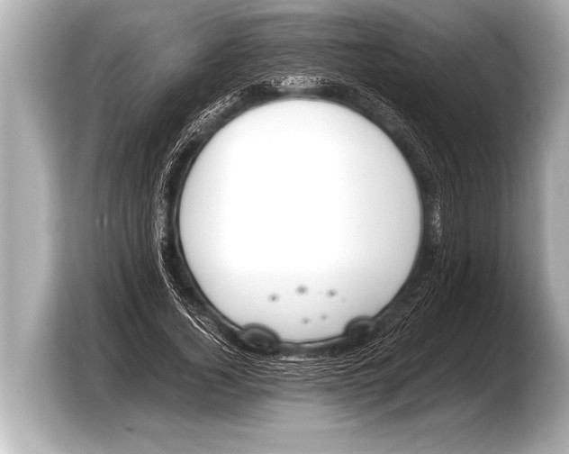 X0000103430732200810031350