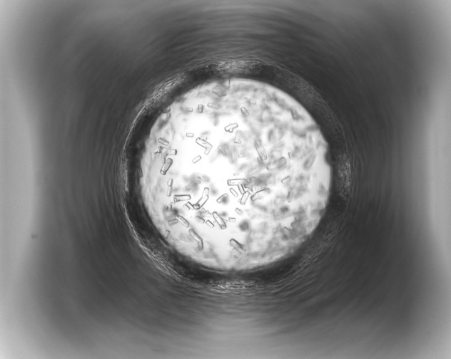 X0000103430734200810031350