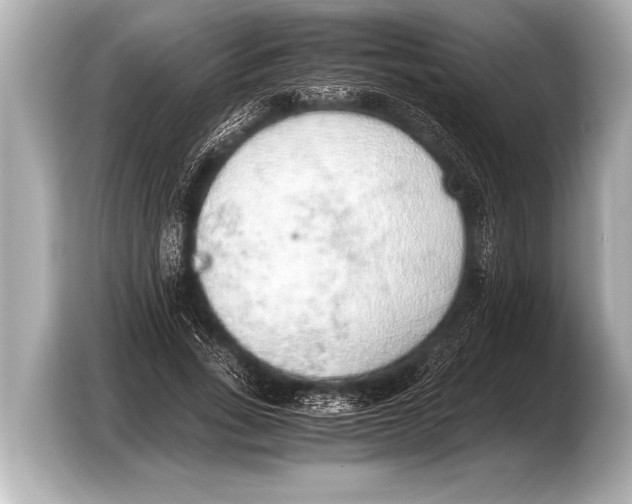 X0000103430735200810031350