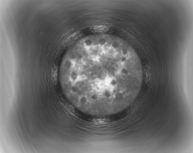 X0000103430745200810031350