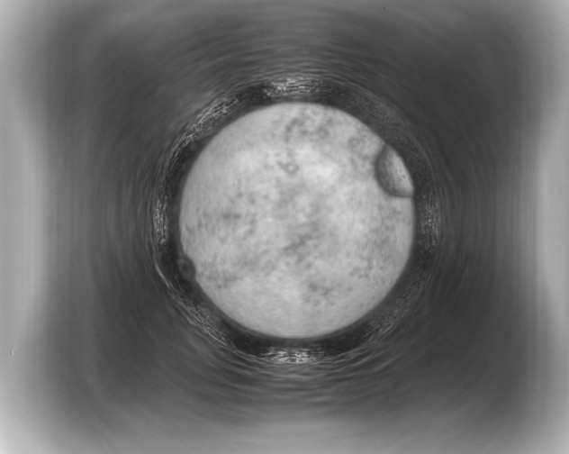 X0000103430751200810031350