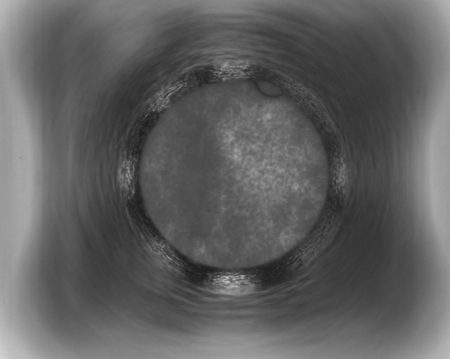 X0000103430759200810031350