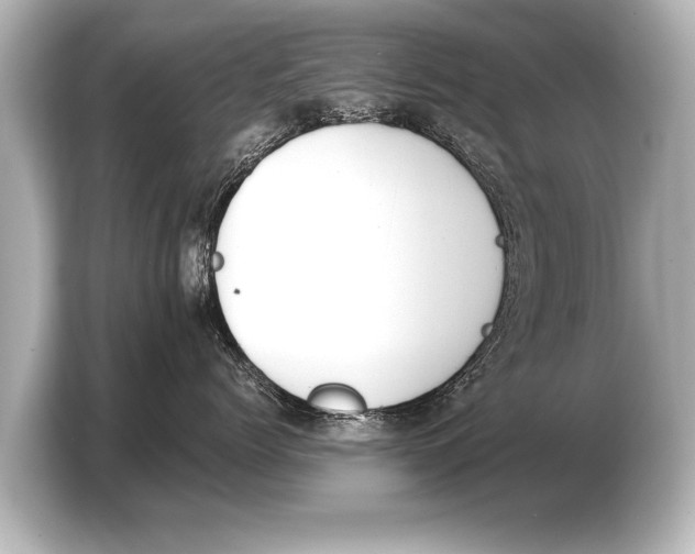 X0000103430768200810031351