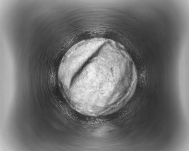 X0000103430772200810031350