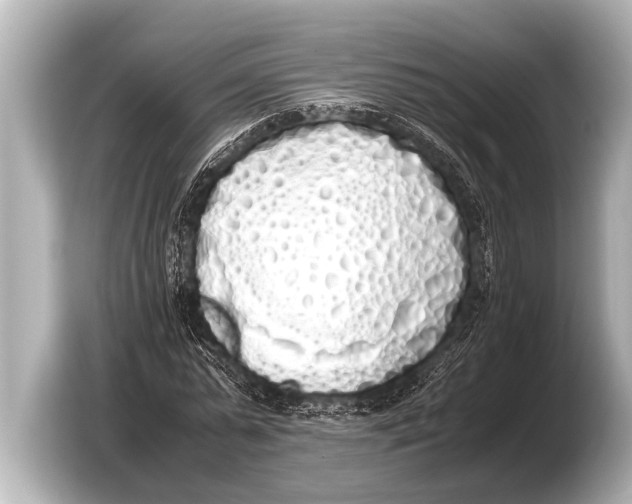 X0000103430775200810031350