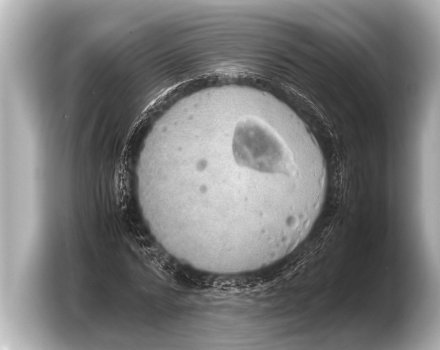 X0000103430776200810031350