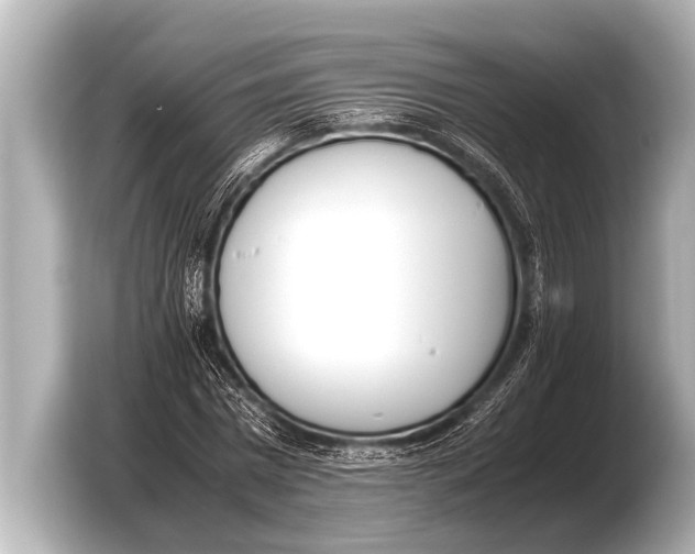 X0000103430777200810031350