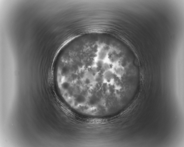 X0000103430779200810031350