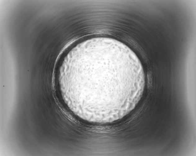 X0000103430780200810031350