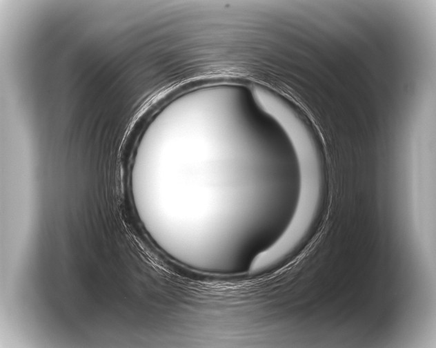 X0000103430781200810031350