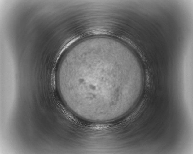 X0000103430782200810031350