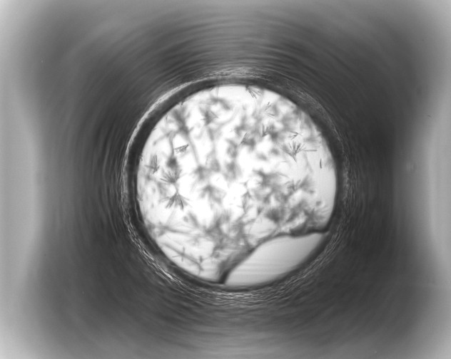 X0000103430784200810031350