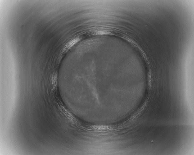 X0000103430785200810031350