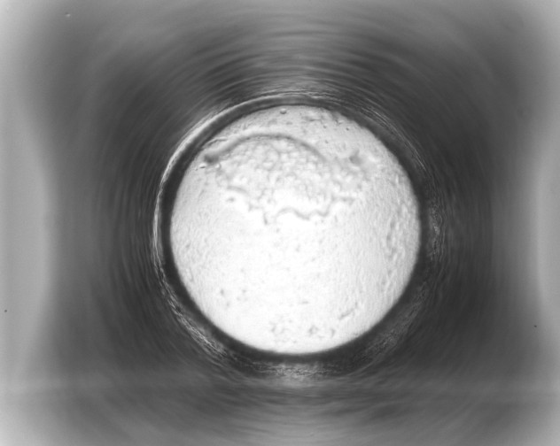 X0000103430788200810031350