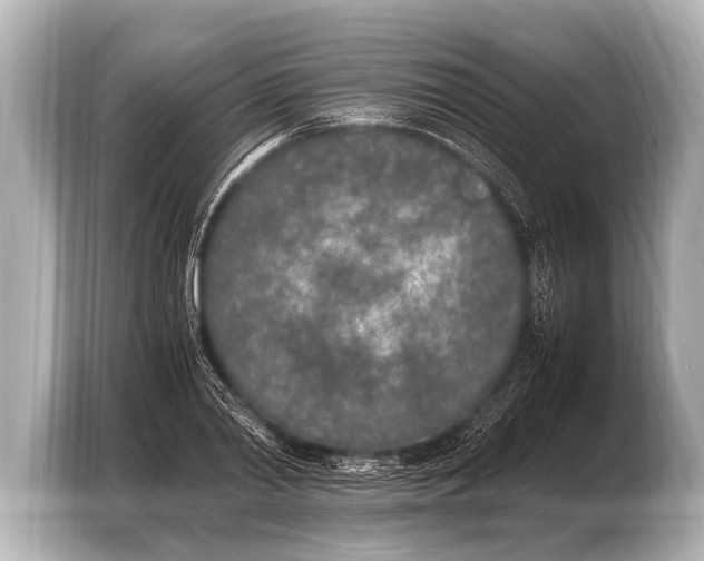 X0000103430790200810031350