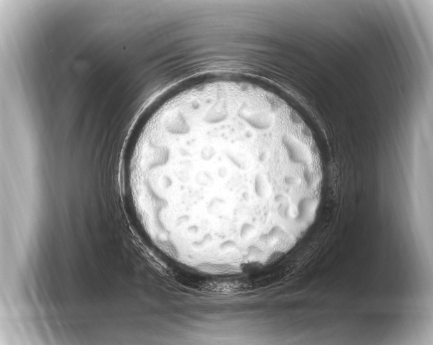 X0000103430791200810031350