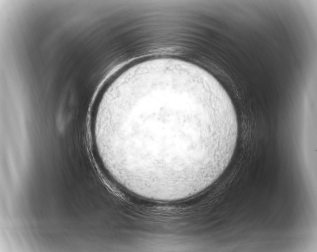 X0000103430792200810031350