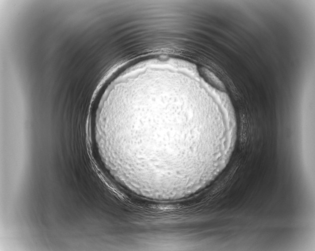 X0000103430796200810031350