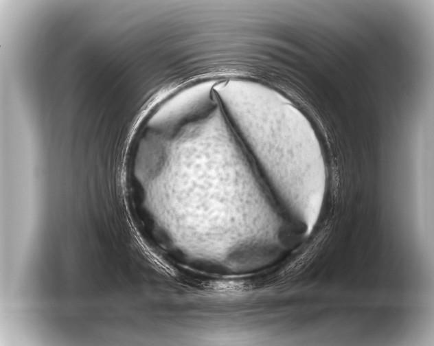 X0000103430797200810031350