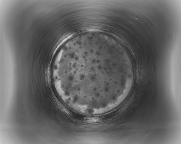 X0000103430798200810031350