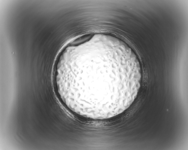 X0000103430803200810031350