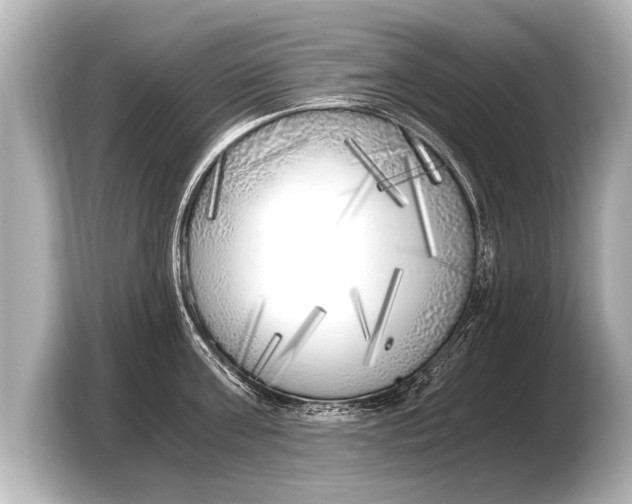 X0000103430811200810031349