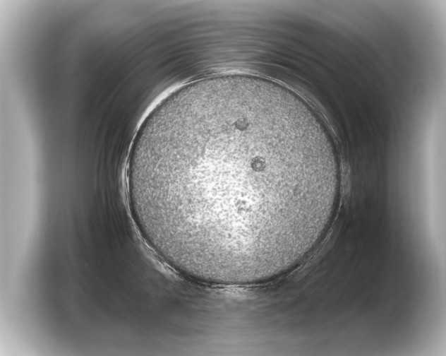 X0000103430814200810031349