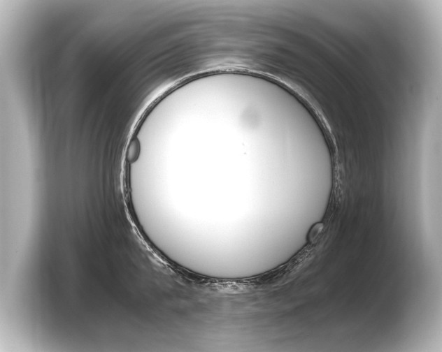 X0000103430815200810031349