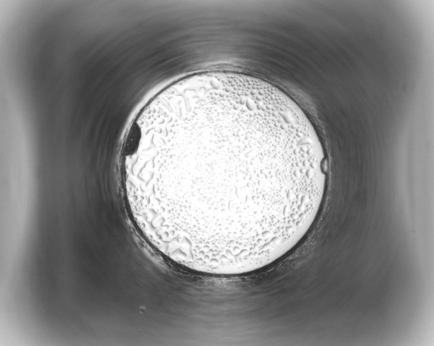 X0000103430816200810031349